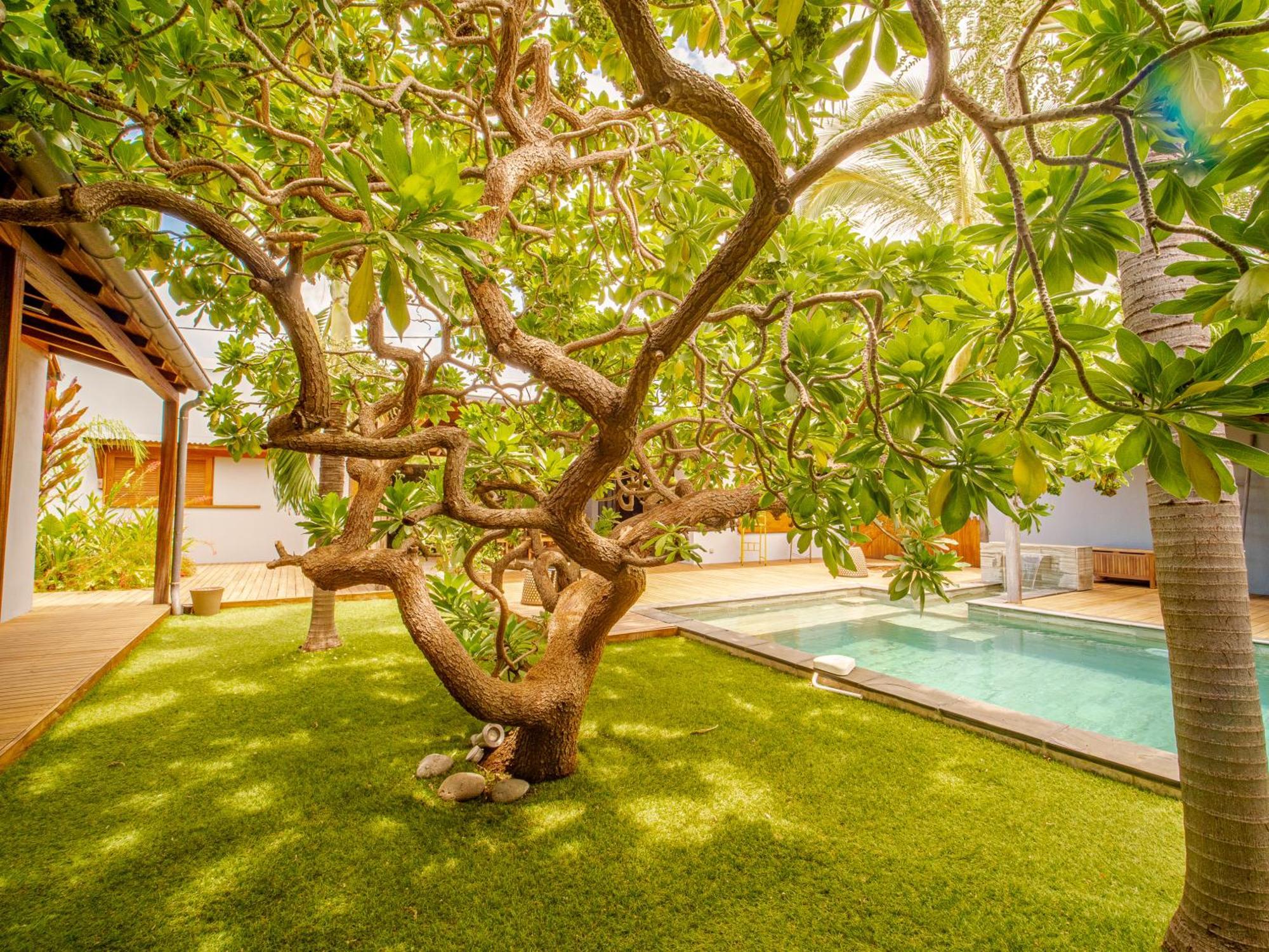 La Kaz Veloutier - Villa 4 Chambres Avec Piscine La Saline Les Bains Eksteriør billede