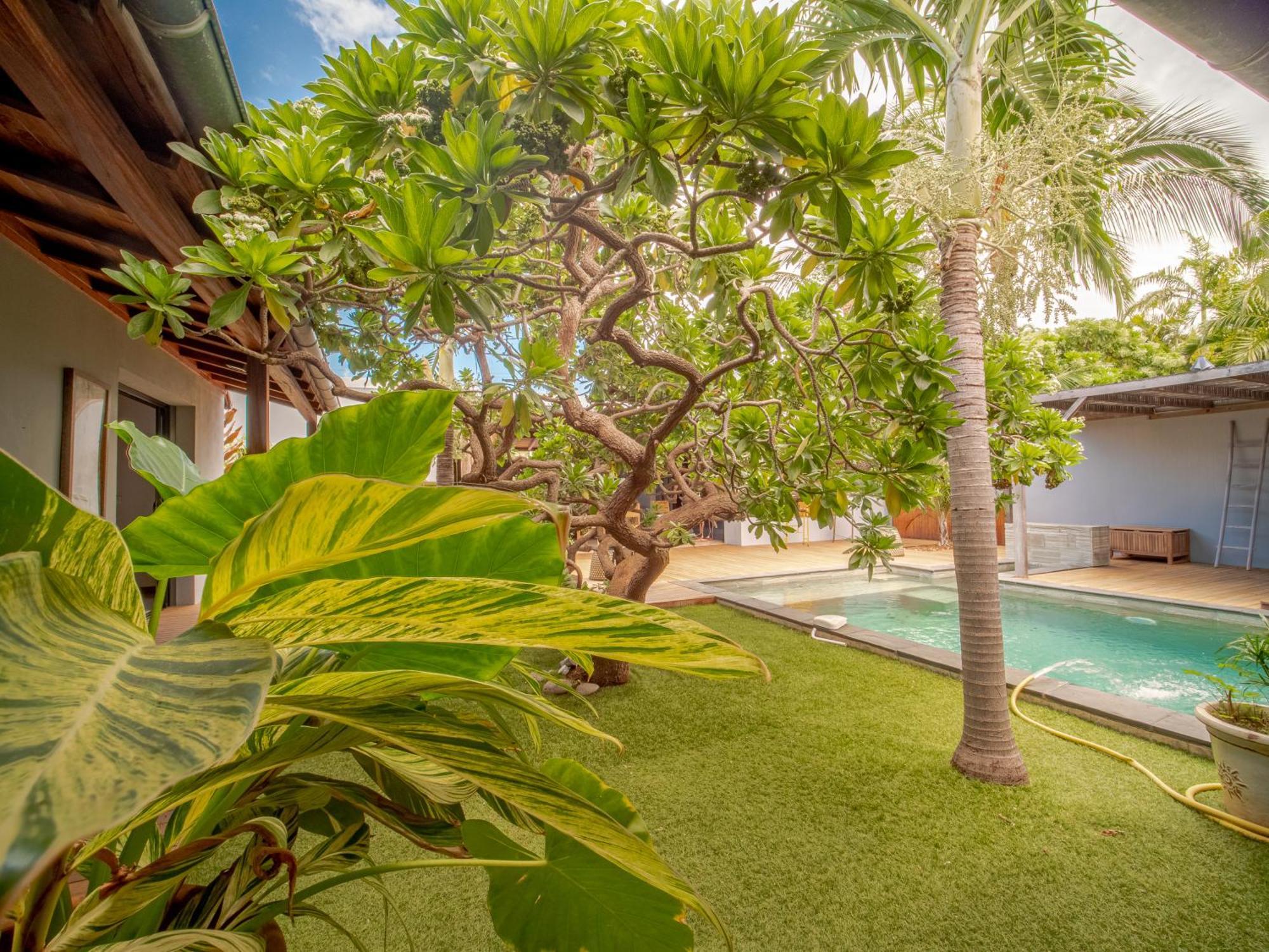La Kaz Veloutier - Villa 4 Chambres Avec Piscine La Saline Les Bains Eksteriør billede